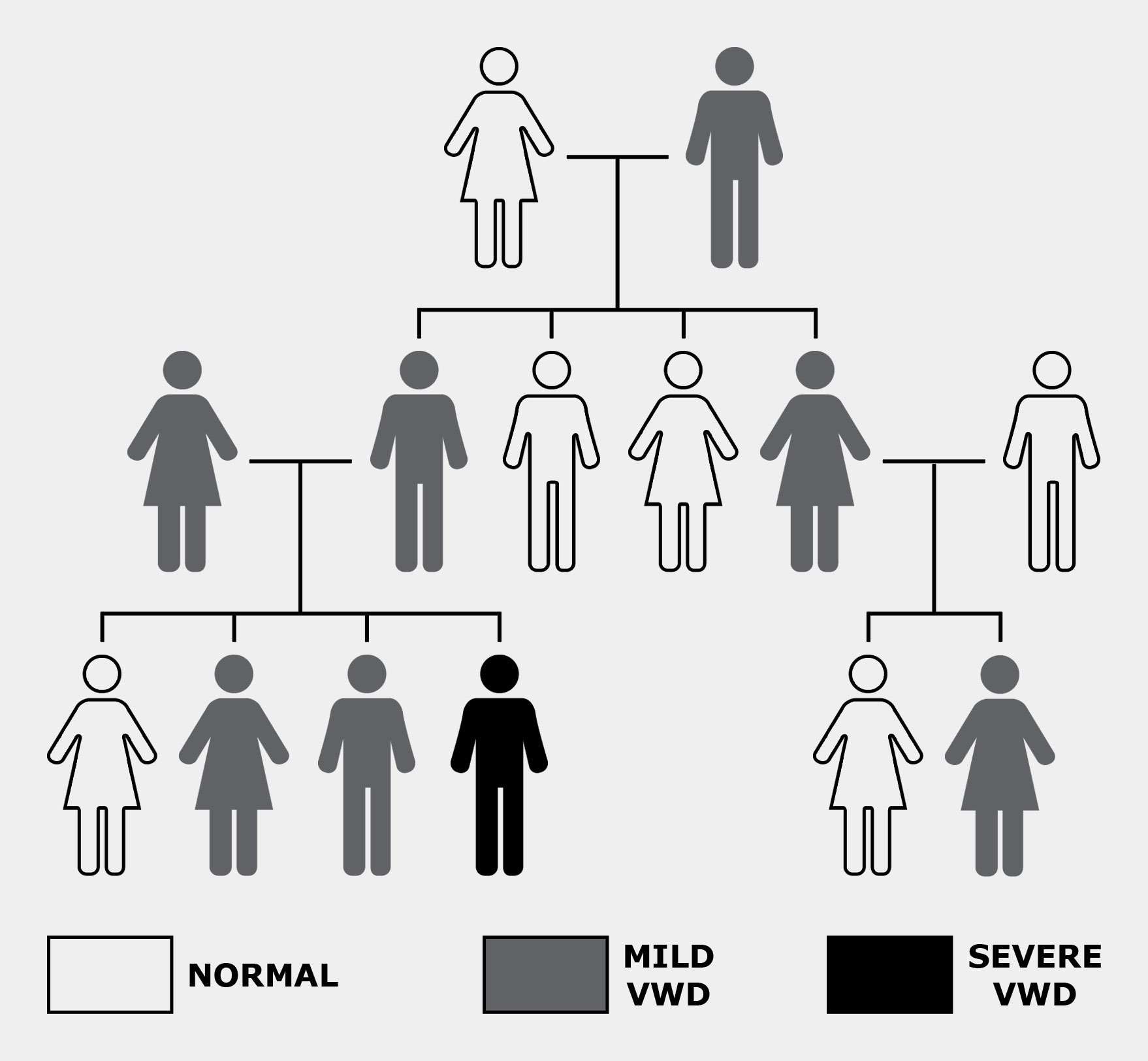 WFH eLearning Platform von Willebrand Disease